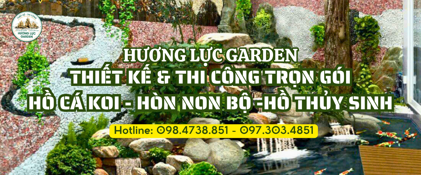 Dịch vụ Hương Lực