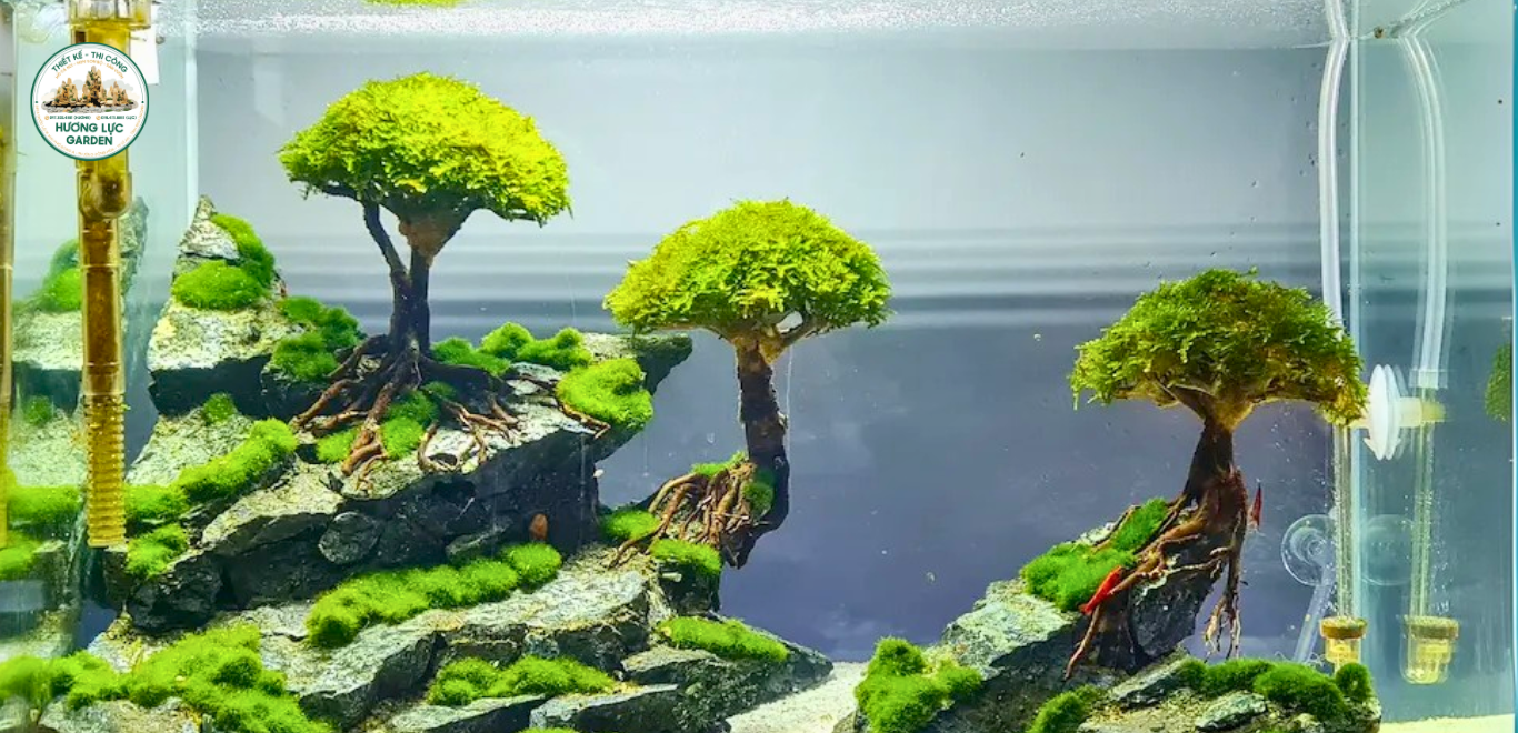 THIẾT KẾ THI CÔNG HỒ THỦY SINH